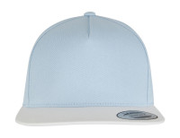 Light Blue/White