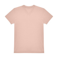 Soft Rose