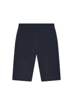 Dark Navy (PMS 532C)